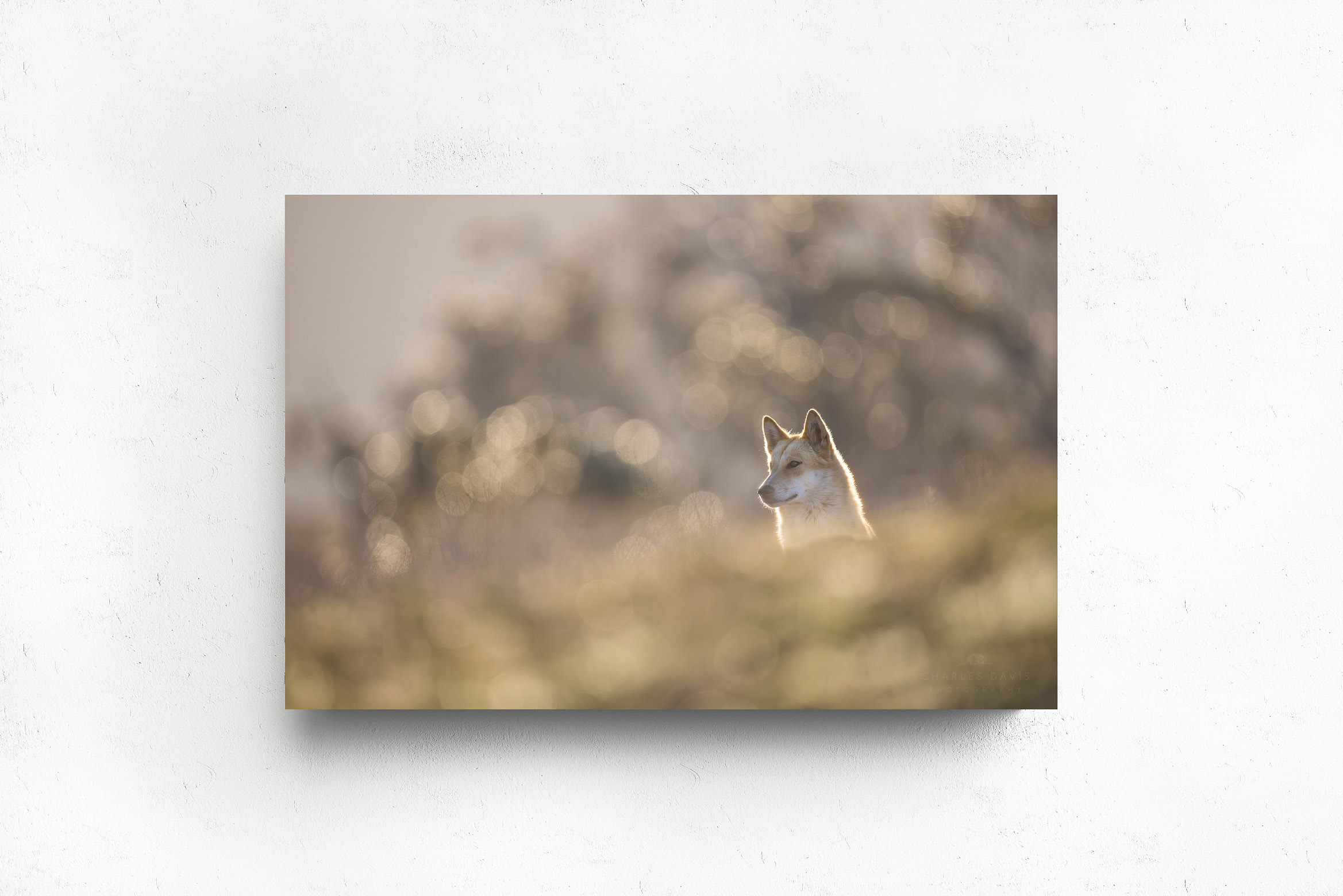 Cresting Right, Acrylic