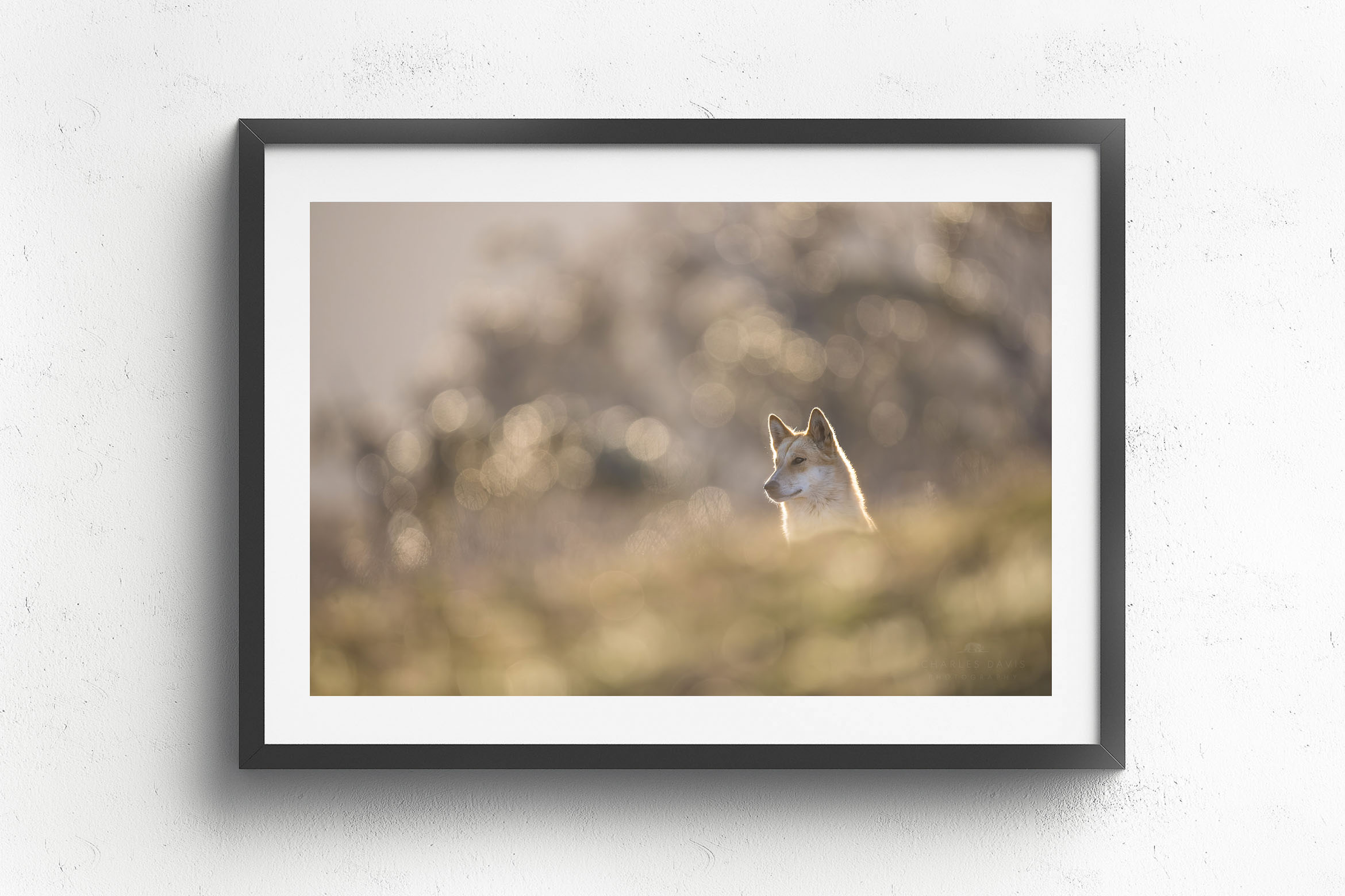 Cresting Right, Black