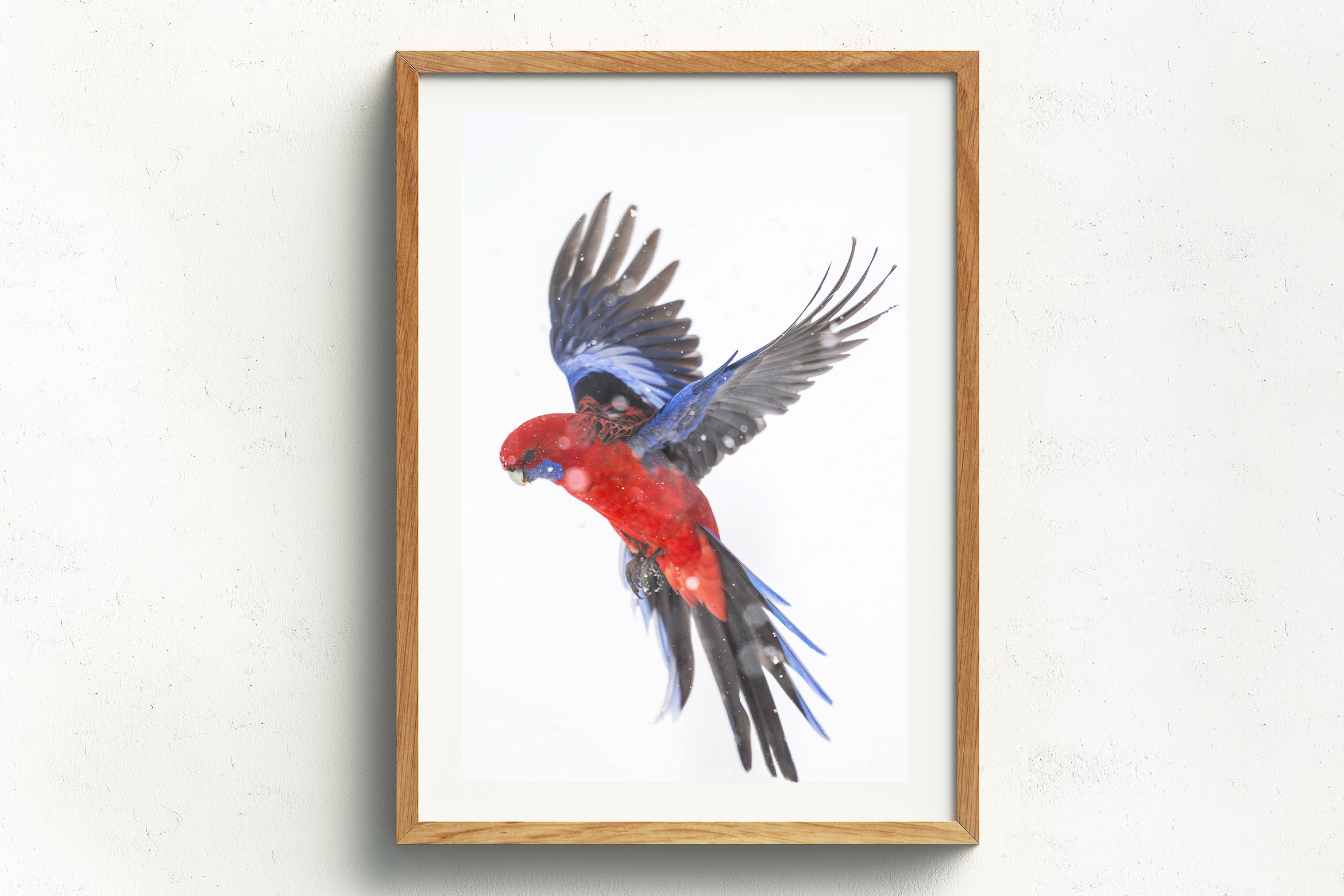 Flurry Of Wings, Raw Oak