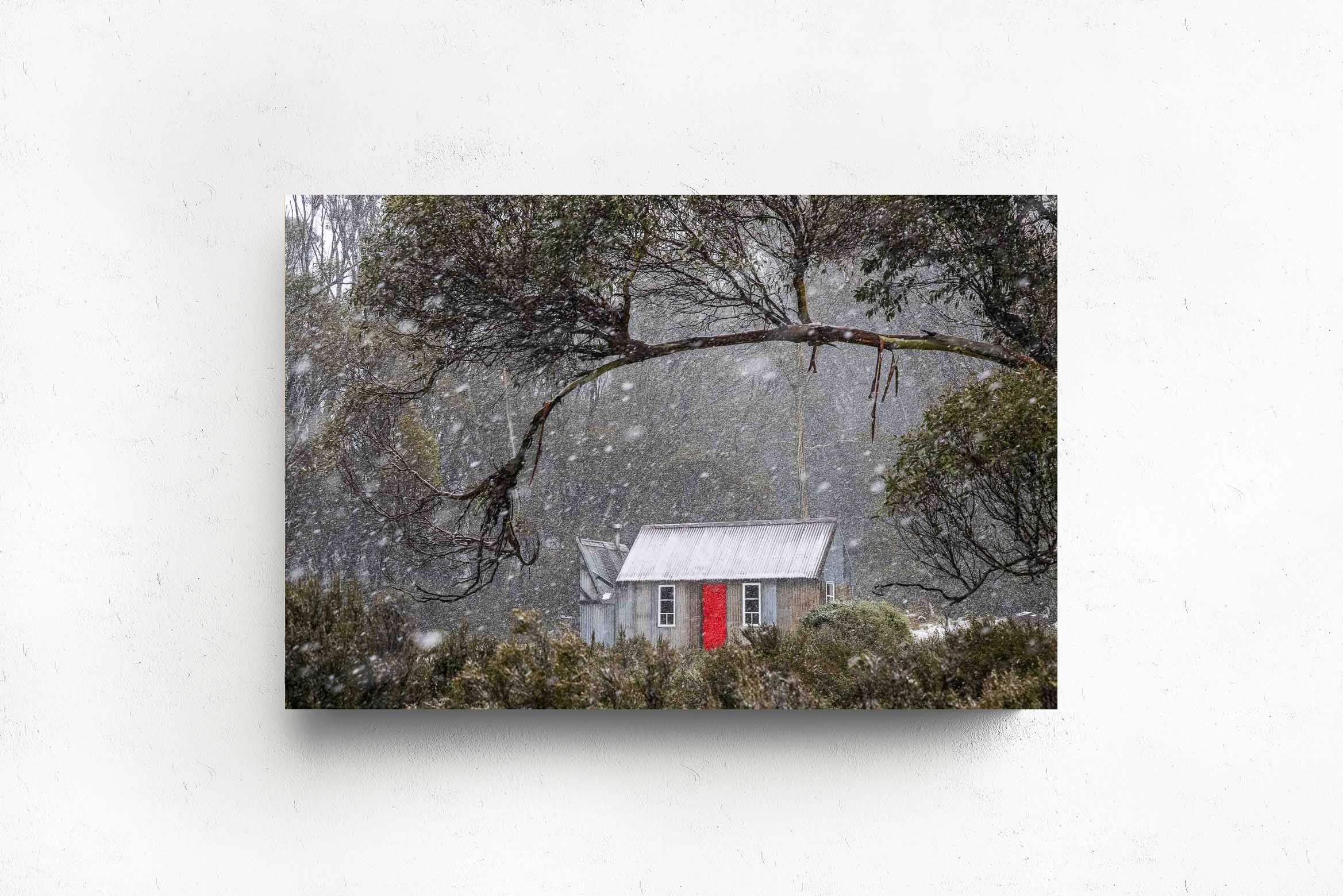 Horse Camp Hut, Acrylic