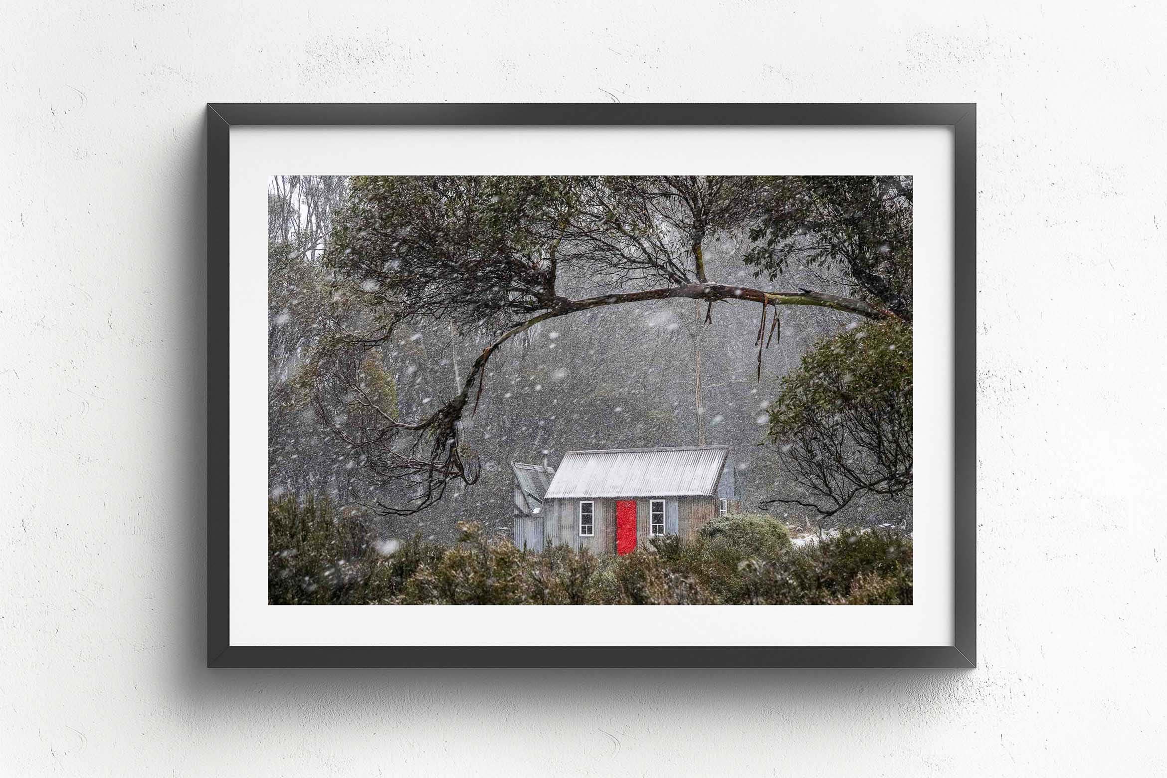 Horse Camp Hut, Balck