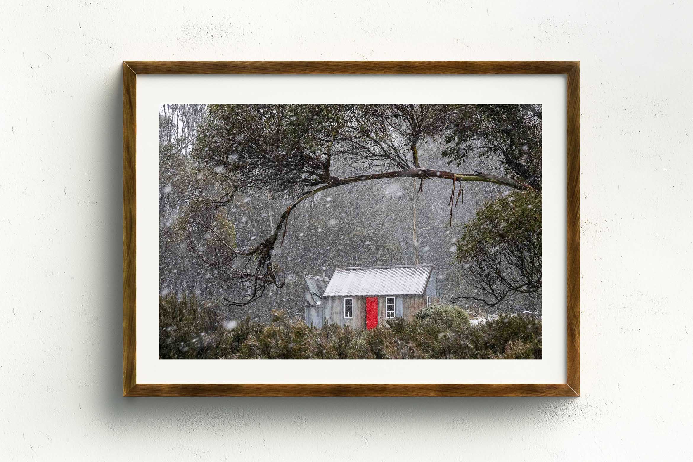 Horse Camp Hut, Stained Oak