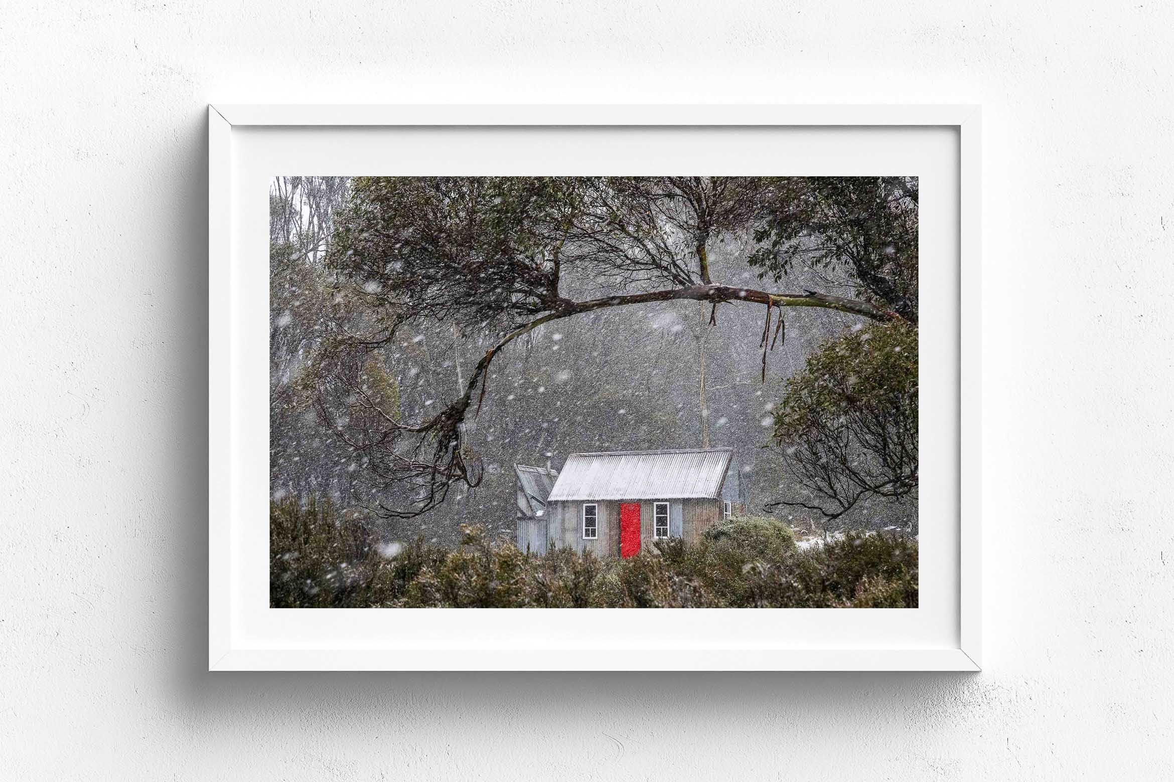 Horse Camp Hut, White