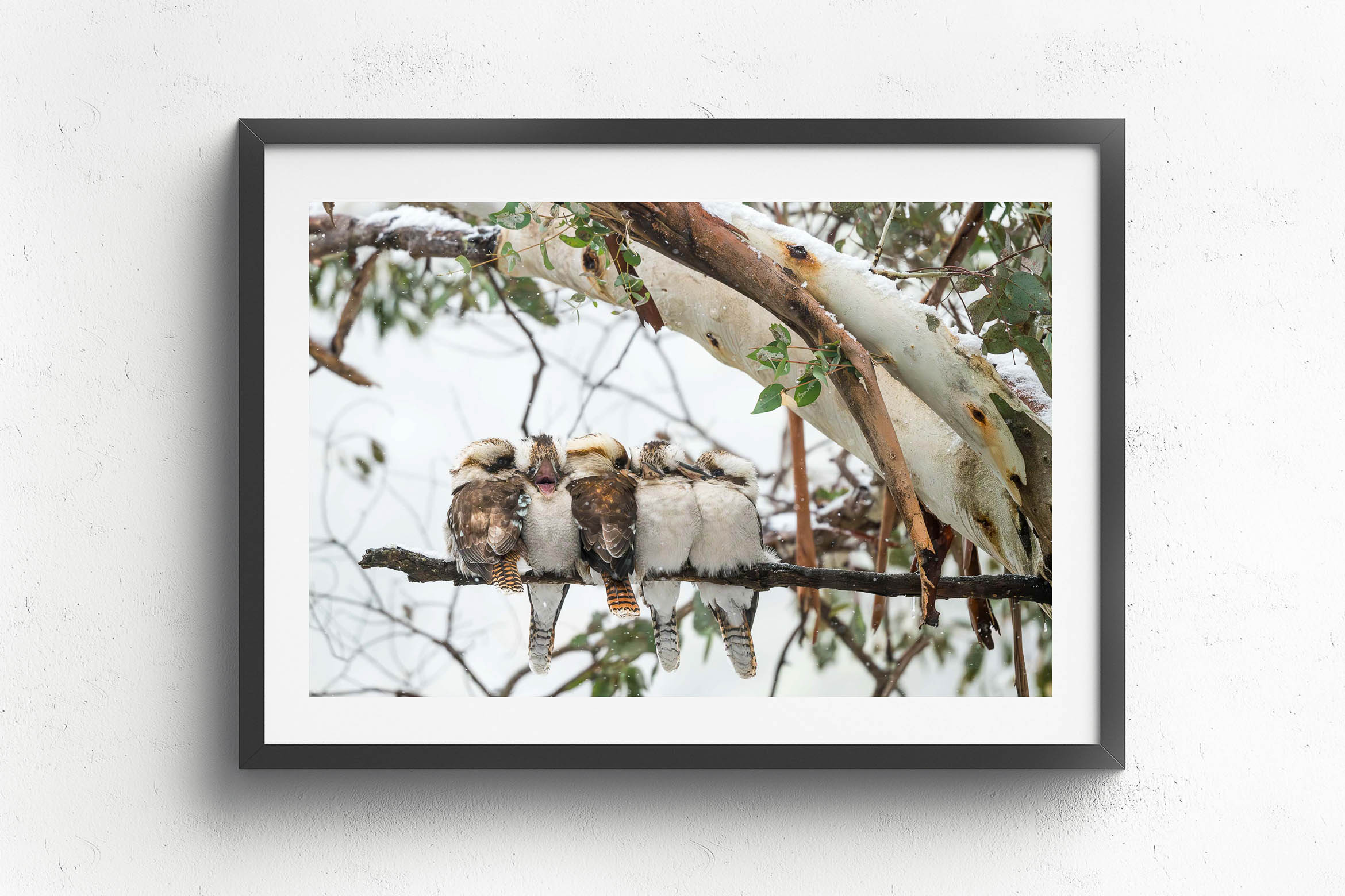 There's Always One, Black