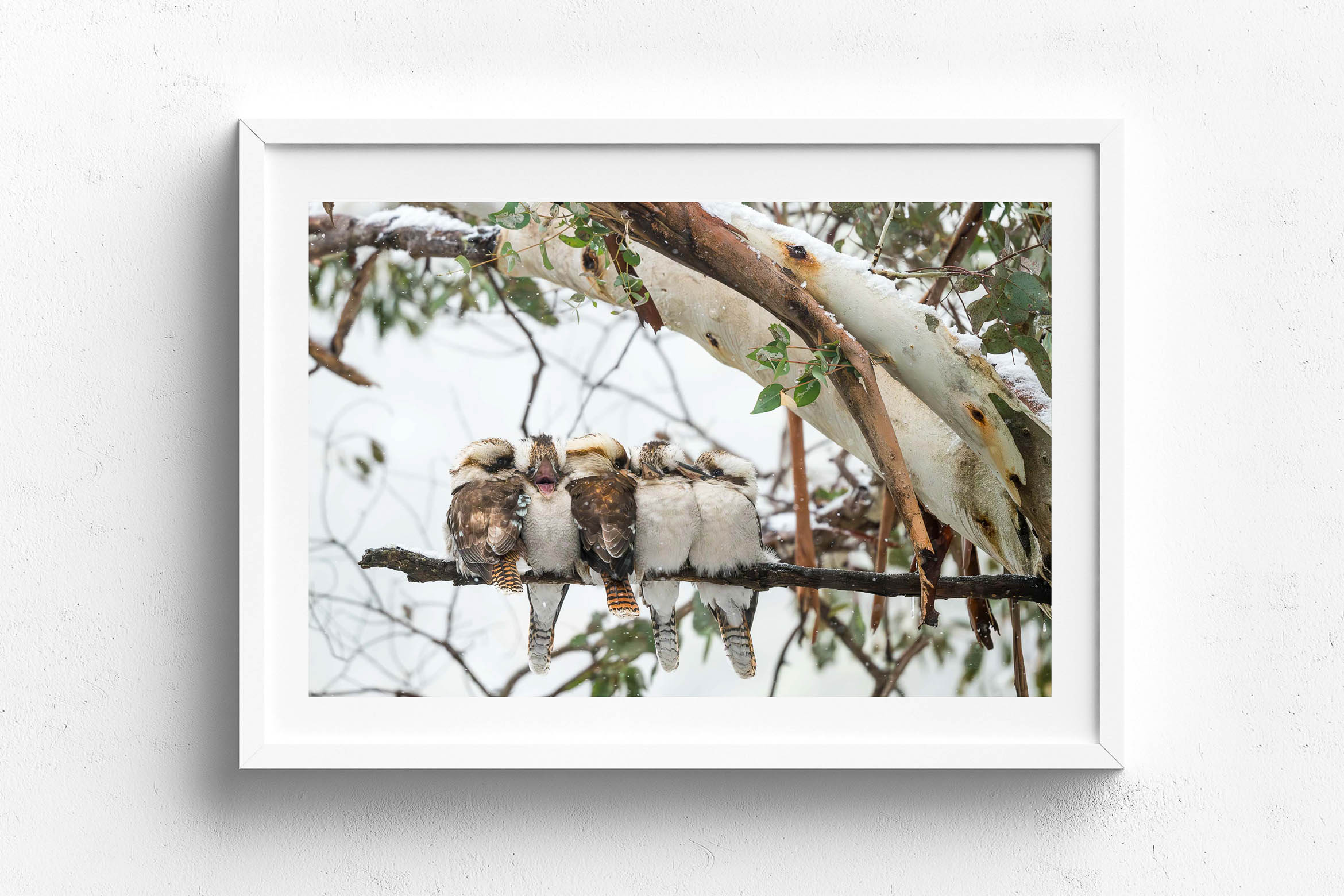 There's Always One, White