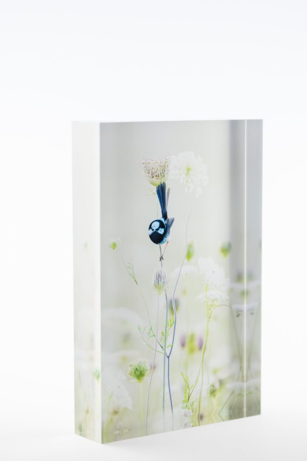 Blue Flower Block