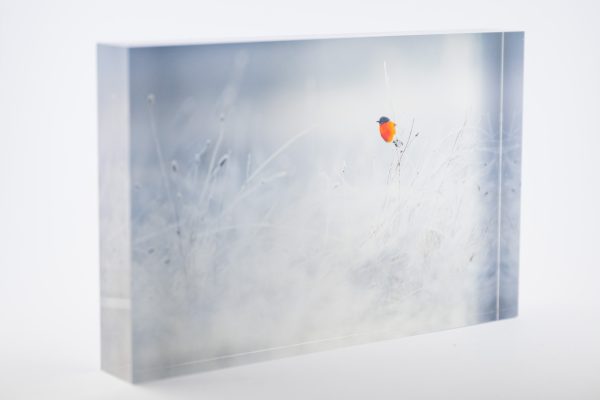 Frosted Flame Block