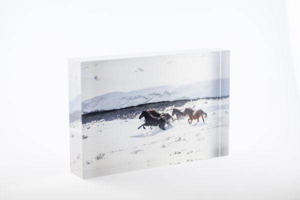 Cascade Gallop Block